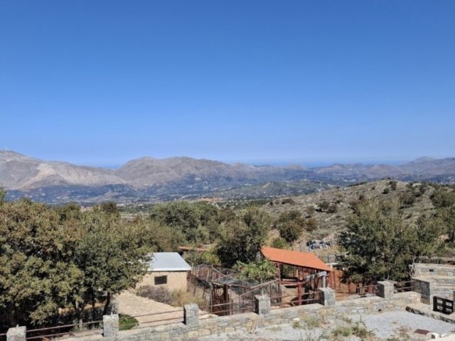 mountain view tour mountain view tour 1024x576