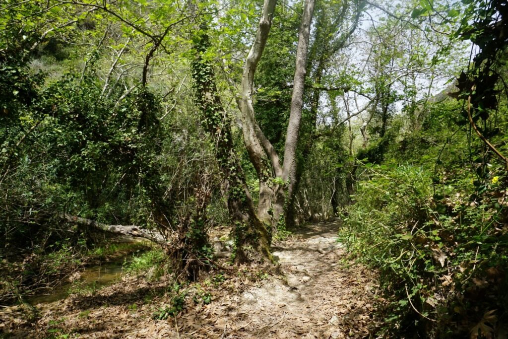 The most beautiful gorges for hiking 4 DSC00665