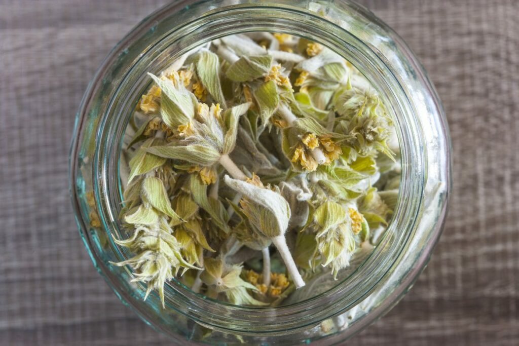 μαλοτηρα νεο