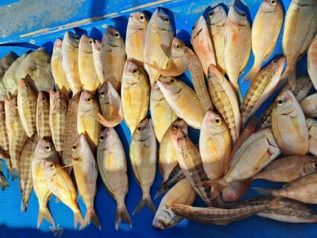 fishing-and-boat-tour-in-crete-11 fishing and boat tour in crete 11 1024x565