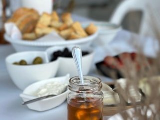 olive mill tour in crete 1