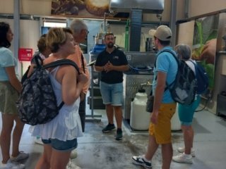 olive mill tour in crete 7 912x1024