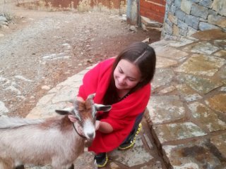 stepherd life tour in crete 11