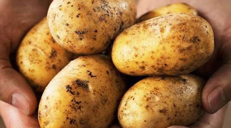 cretan vioma festivals potato festival