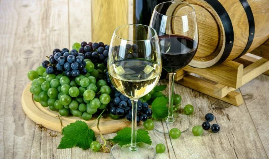 Discover the Cretan Wine Varieties