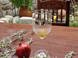 premium wine tour 3 1024x819