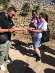 olive oil tour 768x1024