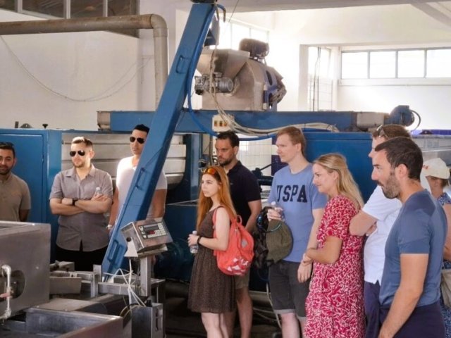 olive oil tour crete 1 olive oil tour crete 1 1024x576