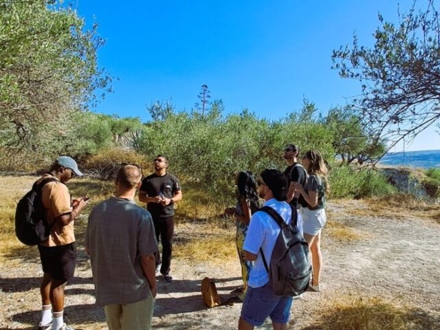 olive oil tour crete 3 olive oil tour crete 3 1024x521