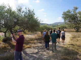 tour at olive grove crete 1024x683