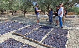 wine tour crete 5 1024x624