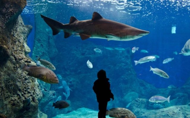 creta aquarium 3 1024x636