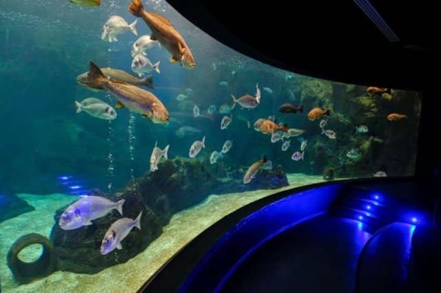 creta aquarium2 2 1024x682