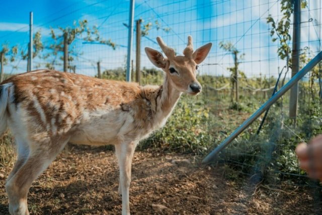 εικόνα Viber 2026 03 10 23 44 21 362 1 1024x683